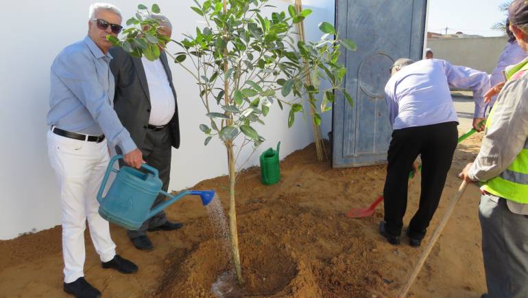الاحتفال من قبل بلدية العين بعيد الشجرة